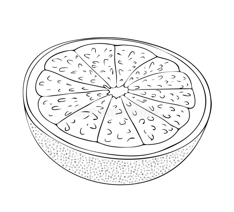 Online coloring book: Coloring big grapefruit cut in half